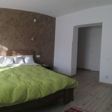 巴亚马雷Casa Cu Trandafiri别墅 外观 照片
