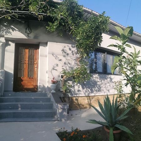 巴亚马雷Casa Cu Trandafiri别墅 外观 照片