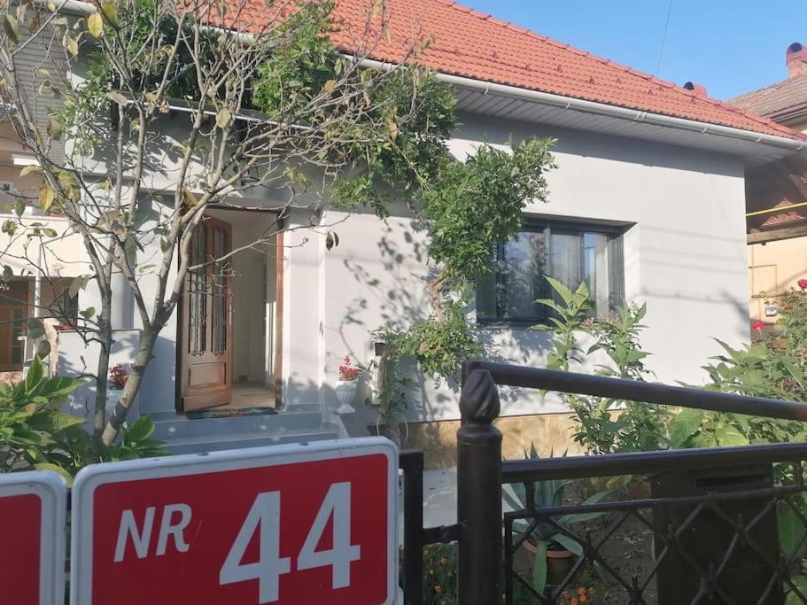 巴亚马雷Casa Cu Trandafiri别墅 外观 照片