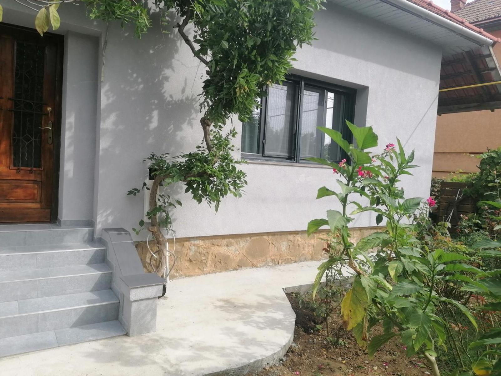 巴亚马雷Casa Cu Trandafiri别墅 客房 照片